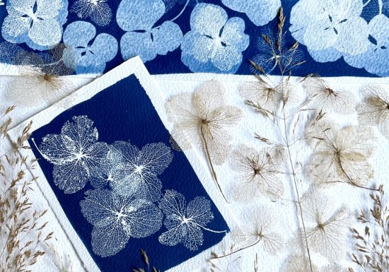 Mariane GUAIS J’impressionne mon jardin / Ateliers de cyanotype