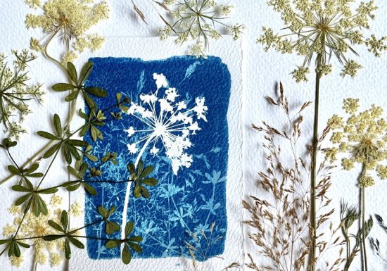 Mariane GUAIS J’impressionne mon jardin / Ateliers de cyanotype