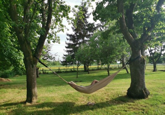 @uggdrasil Gîte de l’Yggdrasil