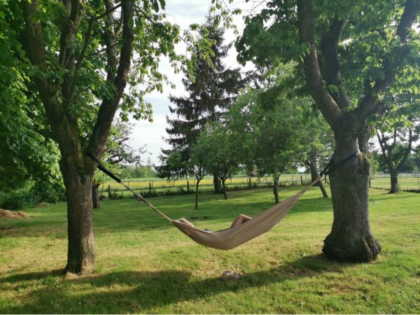 Gîte de l’Yggdrasil