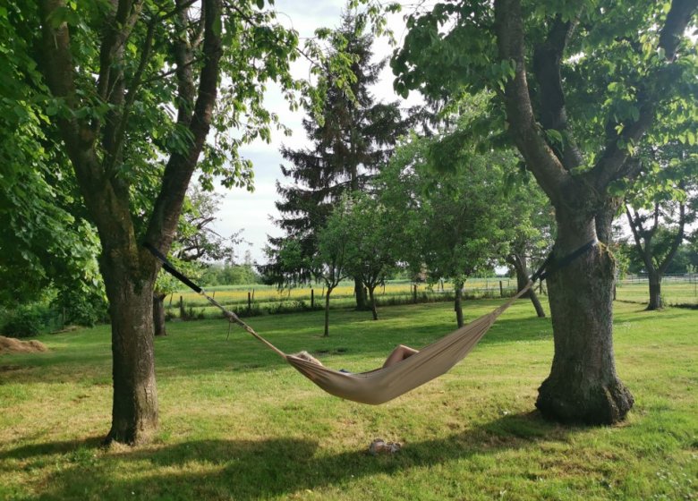 Gîte de l’Yggdrasil