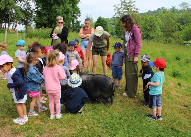 La Ferme des  Cocottes