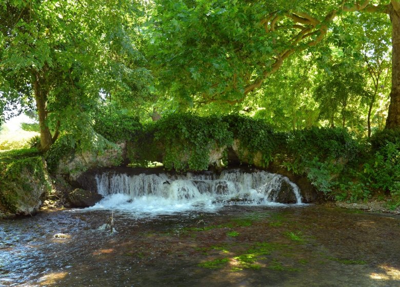 Jardin d’Acquigny