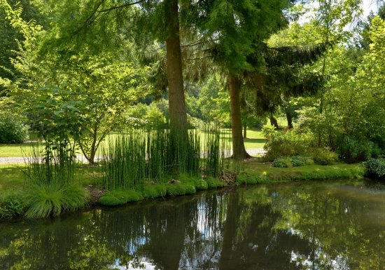 Jardin d’Acquigny