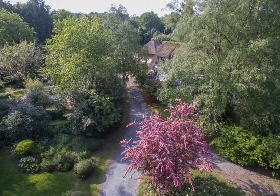 Le Petit Coq aux Champs