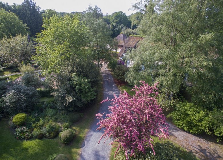 Le Petit Coq aux Champs