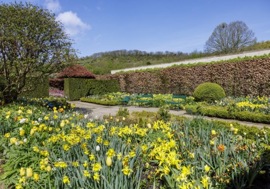 Jardin du musée des impressionnismes Giverny