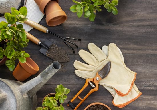 Club CPN (Connaitre pour protéger la nature)