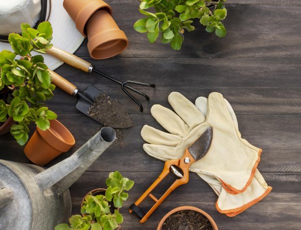 Club CPN (Connaitre pour protéger la nature)