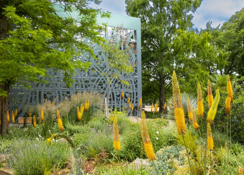 La Serre du jardin botanique