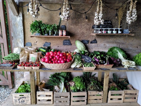 Les Jardins du Theil