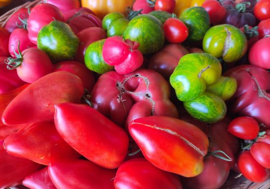 Les Jardins du Theil