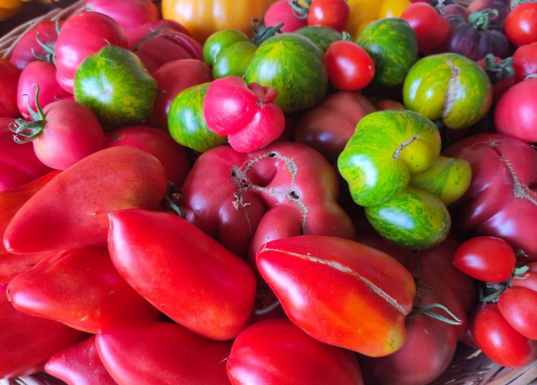 Les Jardins du Theil