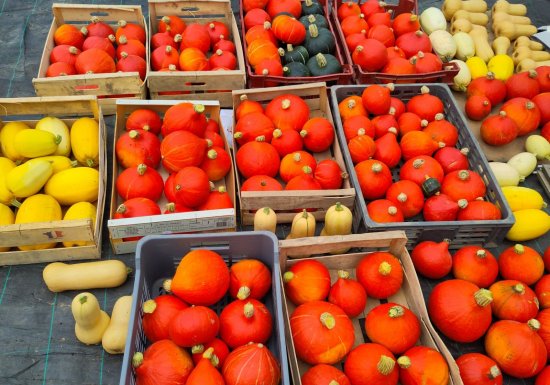 Les Jardins du Theil