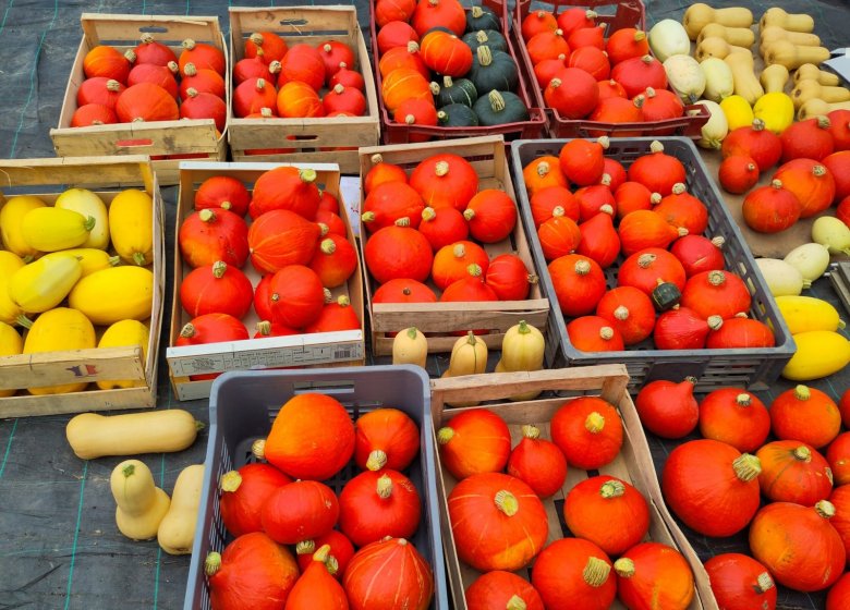 Les Jardins du Theil