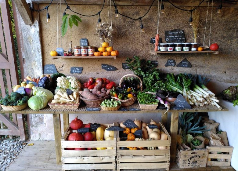 Les Jardins du Theil