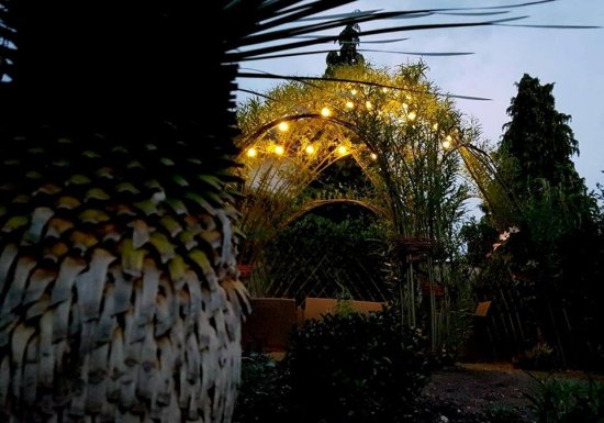 Le Jardin secret de Pan