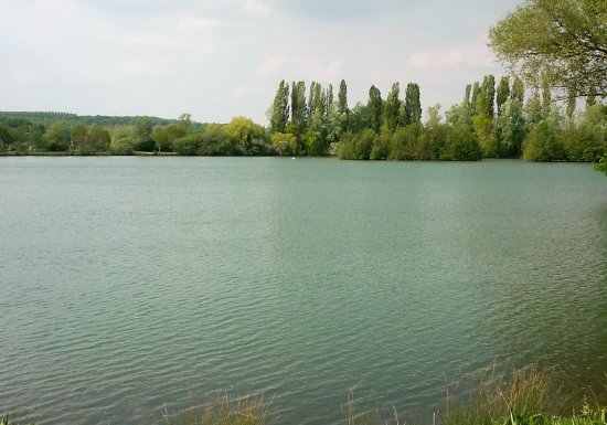 Etang de Pêche de l’Aulnaie