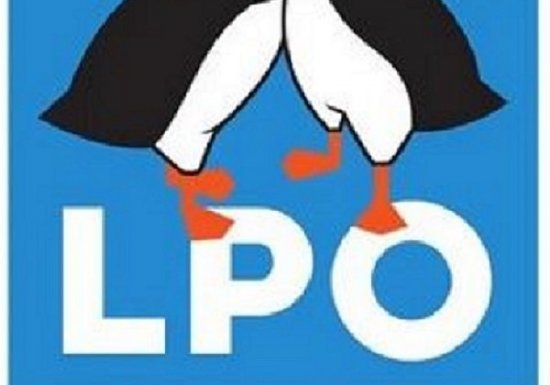 Initiations ornithologiques avec la LPO Normandie : les oiseaux du jardin