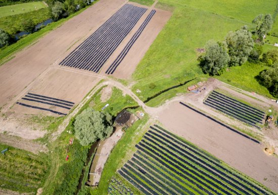 David MORTELETTE La Ferme Pédagogique de l’Epte