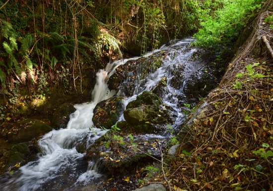Circuit de la Calonne