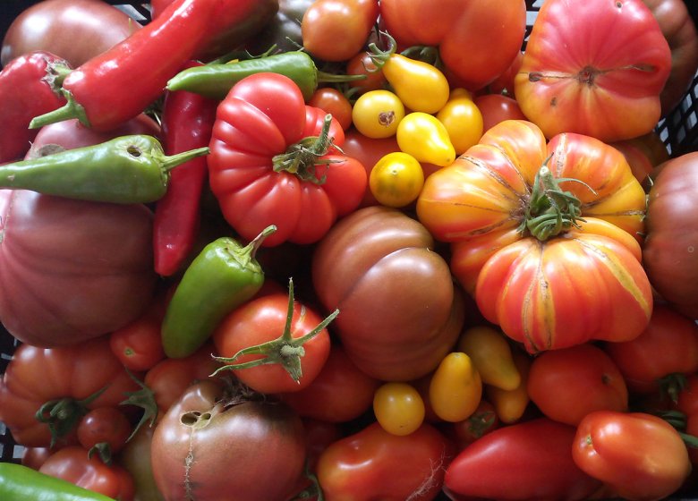 La Petite Ferme des Ifs