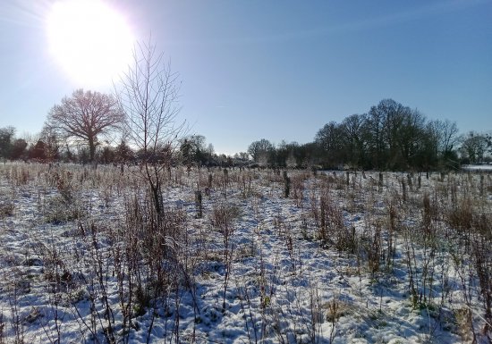La Petite Ferme des Ifs