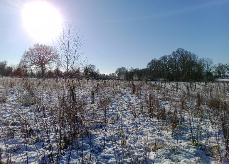 La Petite Ferme des Ifs