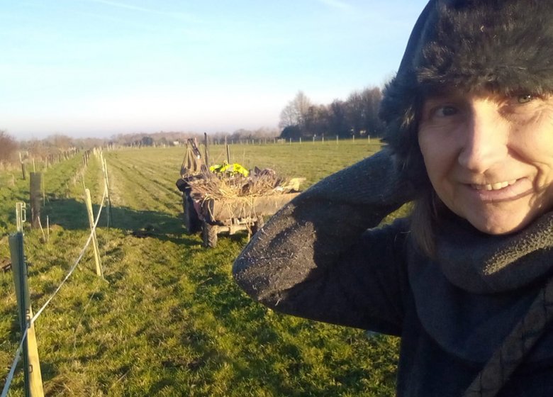 La Petite Ferme des Ifs