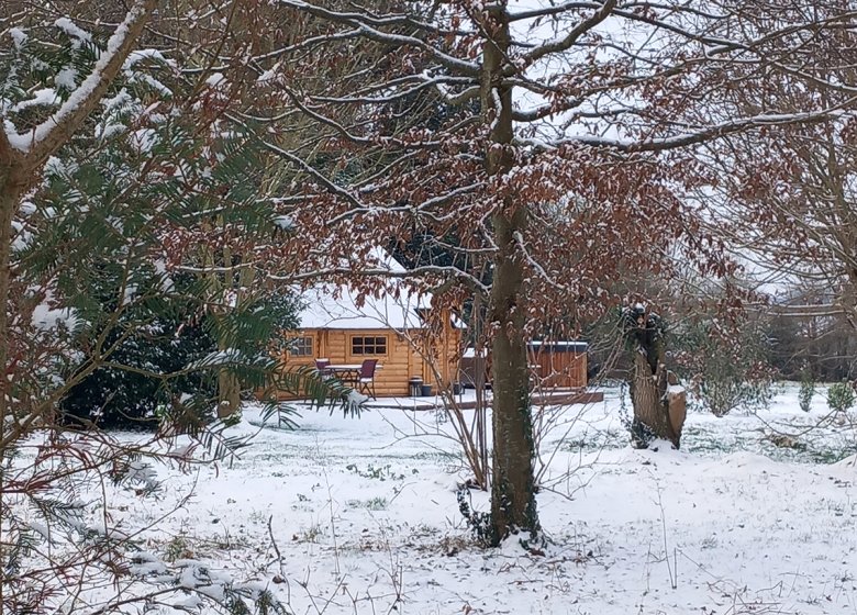 Le Kota du Lutin Many