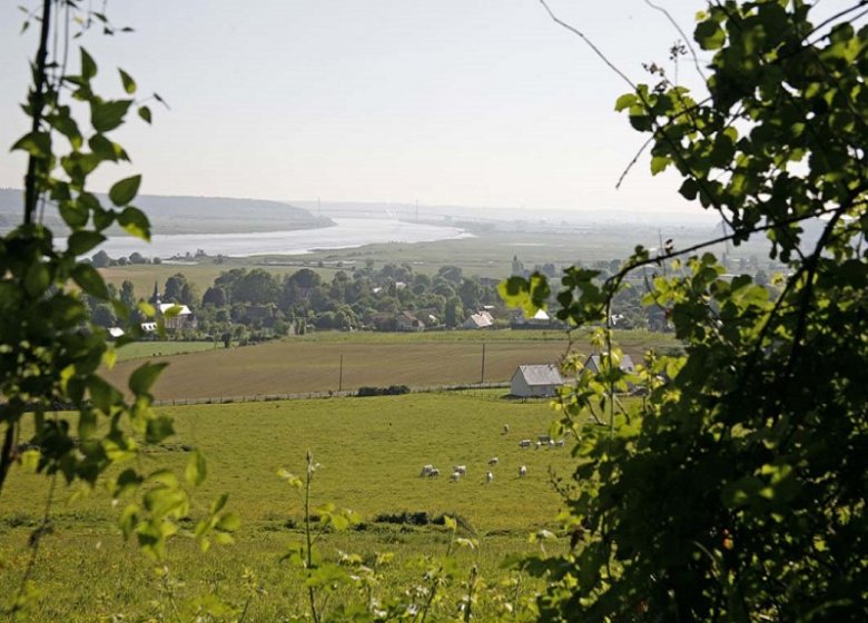 Espace Naturel Sensible : le Sentier des Bruyères