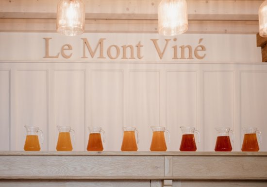 Constance Hyest Les Ateliers du Mont Viné