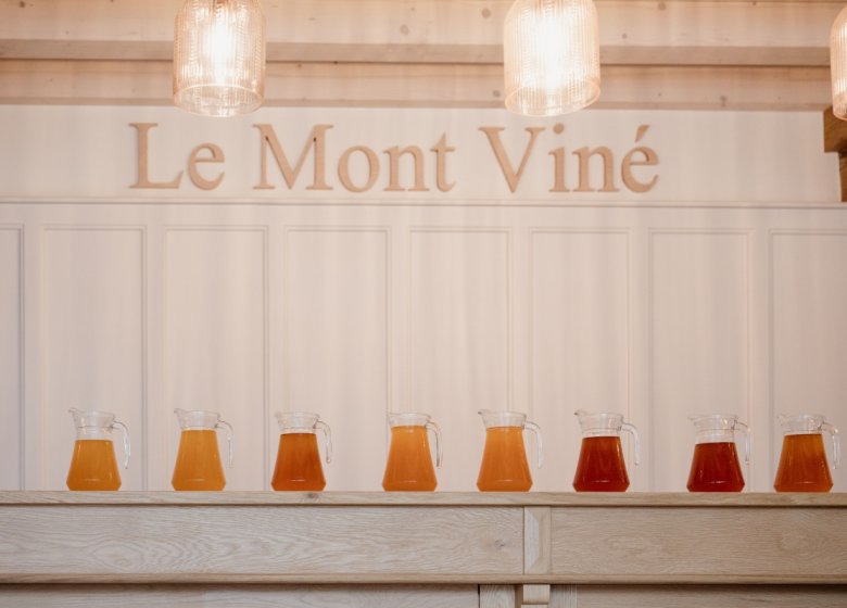 Les Ateliers du Mont Viné