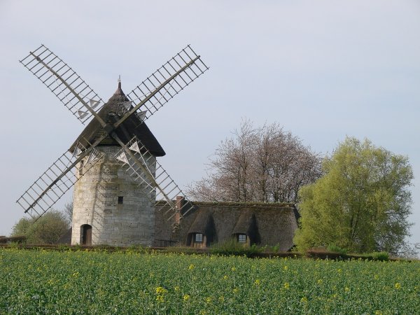 Moulin à vent de Hauville – Association Roumois terres vivantes en Normandie