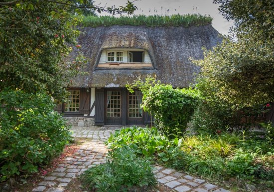 Le Petit Coq aux Champs