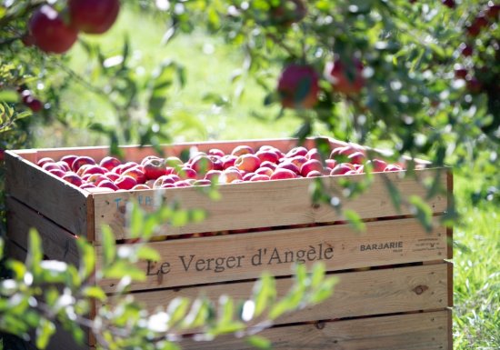 Le Verger d’Angèle