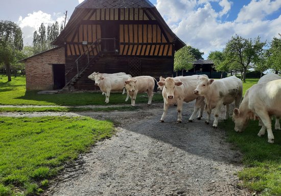 Colombier de la Lanterne