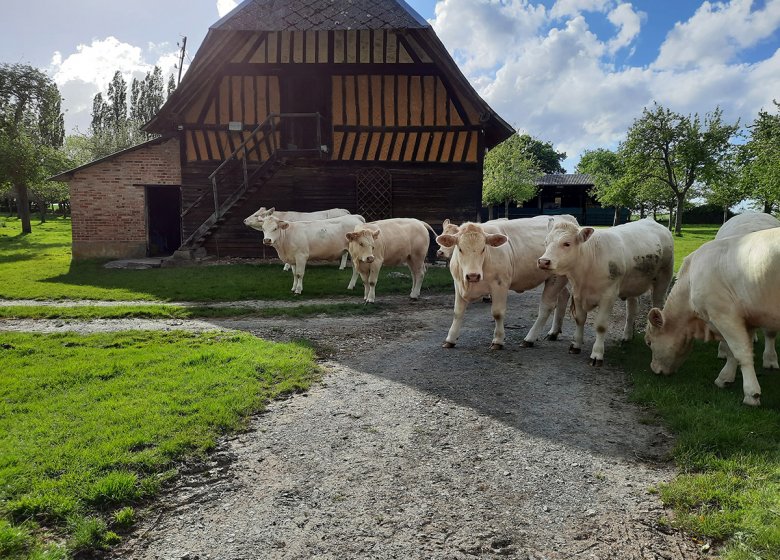 Colombier de la Lanterne