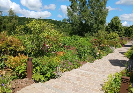 Le jardin de Suzanne