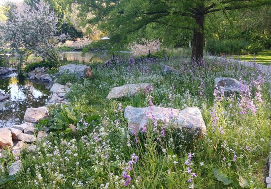 Le jardin de Suzanne