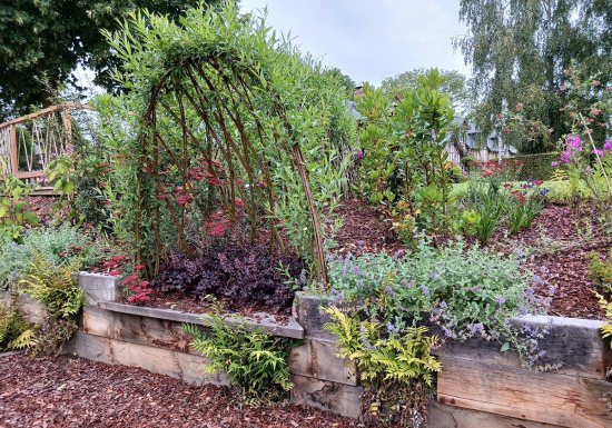 Le jardin de Suzanne