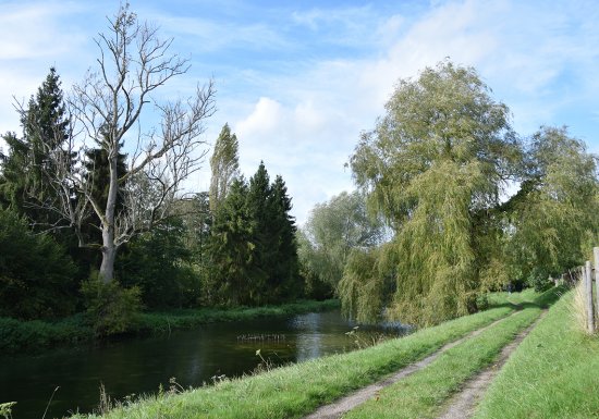 Circuit de la Calonne