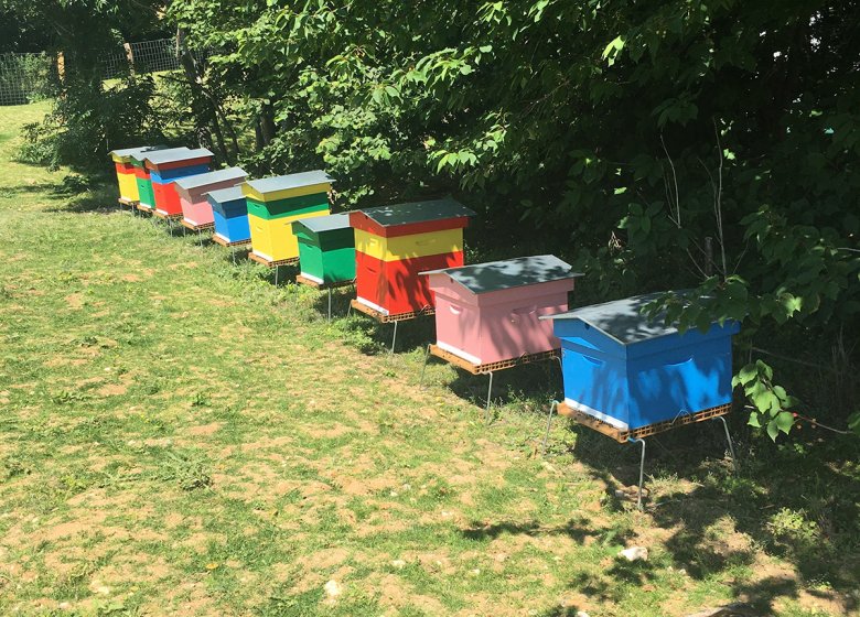 Les Ruches de Léa apiculteur