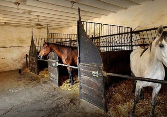 Les Écuries du Mont Viné