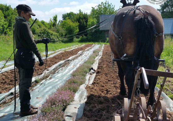 Les h’EIR’bes libres
