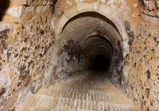 Galerie des Curiosités Larraincy
