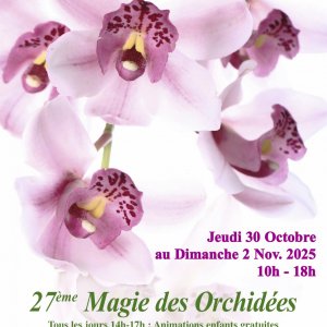27e Magie des Orchidées au Château de Vascoeuil