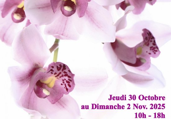 Château de Vascoeuil 27e Magie des Orchidées au Château de Vascoeuil
