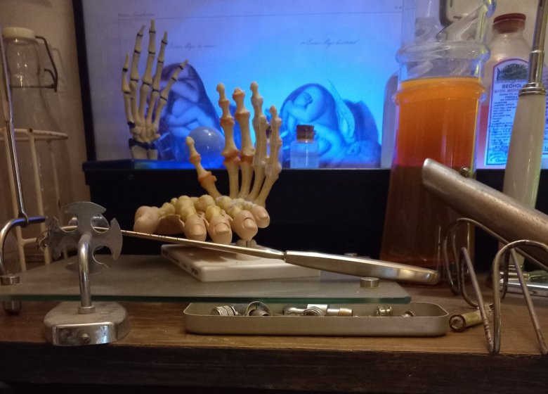 Halloween, même pas peur ! à la Galerie des Curiosités Larraincy