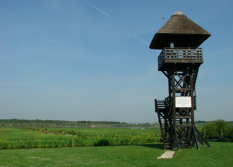 La Réserve Naturelle Nationale du Marais Vernier